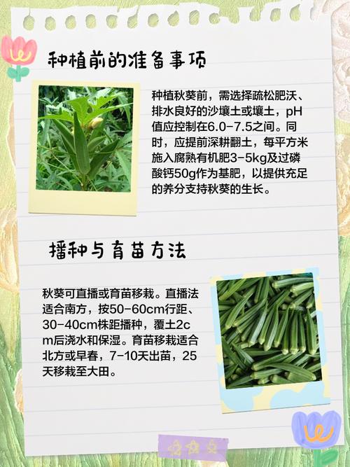 黄葵的养殖方法和注意事项?黄葵的养殖方法和注意事项视频?-第3张图片-优品飞百科 黄葵的养殖方法和注意事项?黄葵的养殖方法和注意事项视频?-第3张图片-优品飞百科