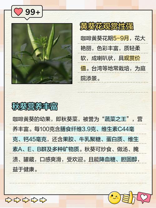 黄葵的养殖方法和注意事项?黄葵的养殖方法和注意事项视频?-第5张图片-优品飞百科 黄葵的养殖方法和注意事项?黄葵的养殖方法和注意事项视频?-第5张图片-优品飞百科