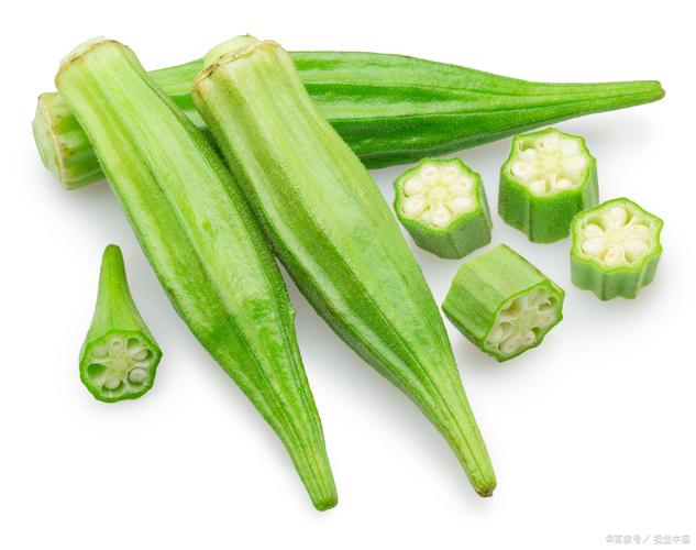 黄葵的养殖方法和注意事项?黄葵的养殖方法和注意事项视频?-第6张图片-优品飞百科 黄葵的养殖方法和注意事项?黄葵的养殖方法和注意事项视频?-第6张图片-优品飞百科