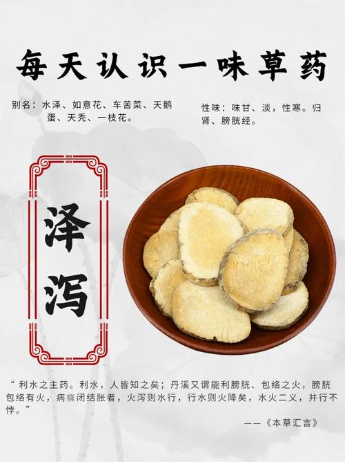 泽泻有哪些功效和作用？泽泻的功效与作用及禁忌,用法及用量？-第2张图片-优品飞百科