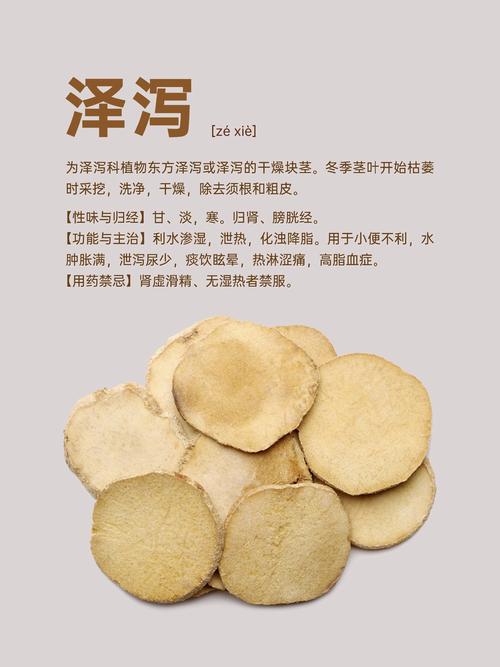 泽泻有哪些功效和作用？泽泻的功效与作用及禁忌,用法及用量？-第3张图片-优品飞百科