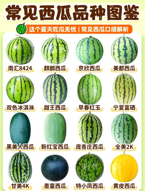 西瓜有什么营养成分，西瓜有啥营养成分？-第1张图片-优品飞百科