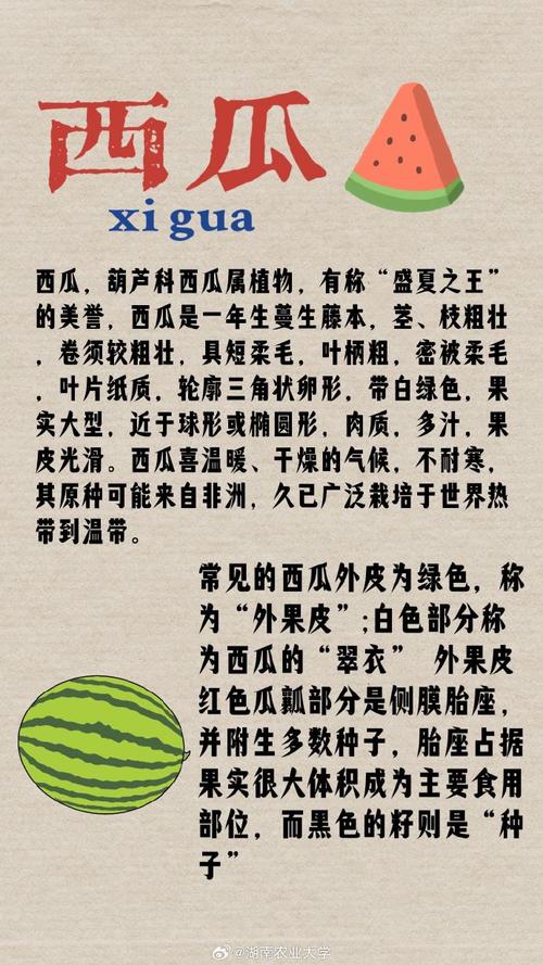 西瓜有什么营养成分，西瓜有啥营养成分？-第3张图片-优品飞百科