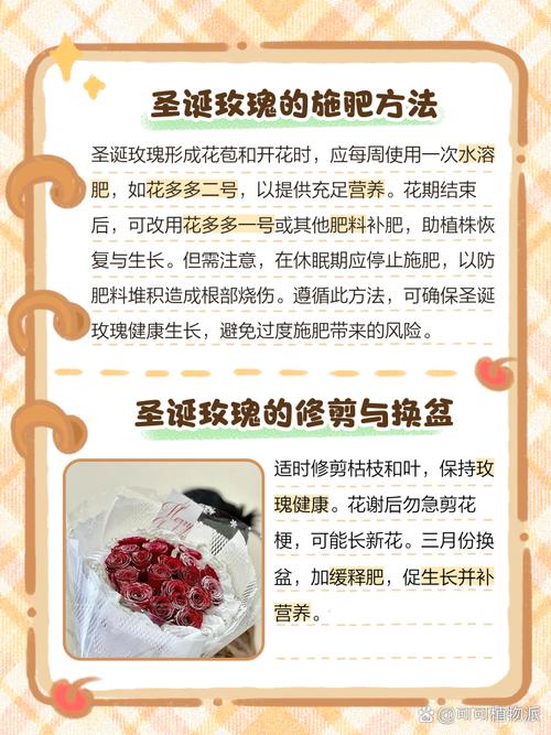 圣诞玫瑰有毒吗，圣诞玫瑰有毒吗图片-第5张图片-优品飞百科