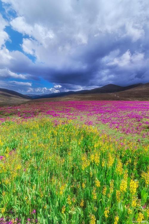 5天天气预报，北京15天天气预报-第7张图片-优品飞百科