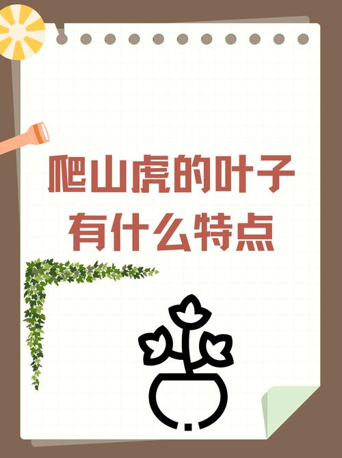 爬山虎是什么植物，叶子有什么特点，爬山虎是什么植物,叶子有什么特点呢-第1张图片-优品飞百科