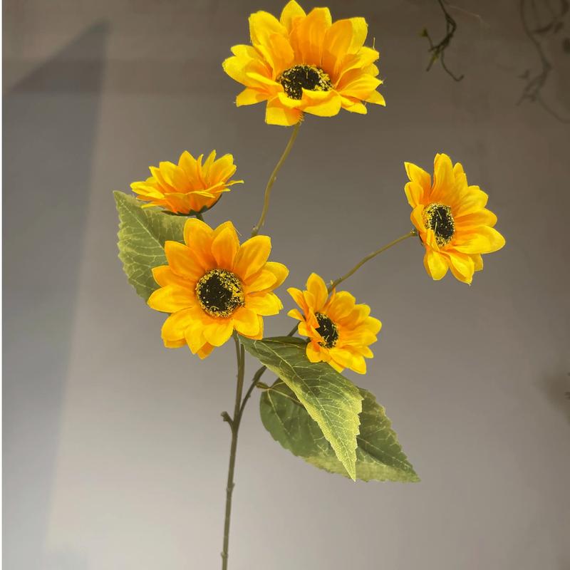 家里为什么不能放向日葵，家里是否可以摆向日葵？-第1张图片-优品飞百科