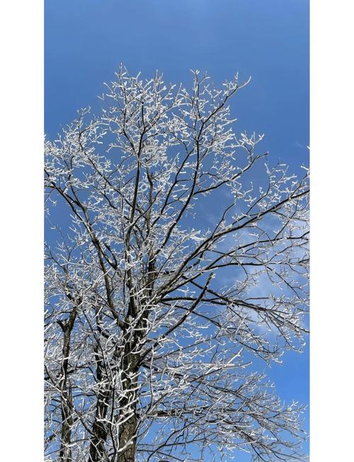 白山天气预报？长白山天气预报？-第1张图片-优品飞百科