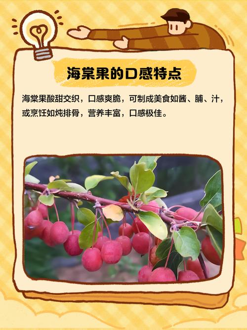海棠果可以吃吗，海棠果什么时候成熟？海棠果在什么时候结果？-第2张图片-优品飞百科