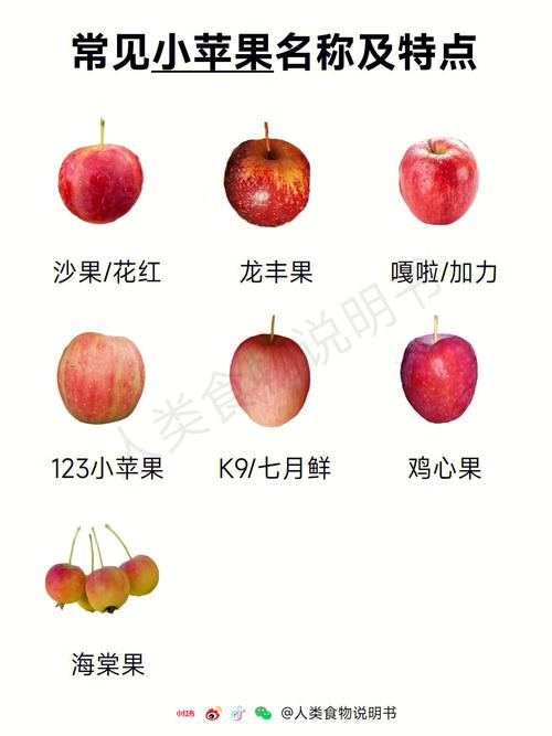 海棠果可以吃吗，海棠果什么时候成熟？海棠果在什么时候结果？-第3张图片-优品飞百科