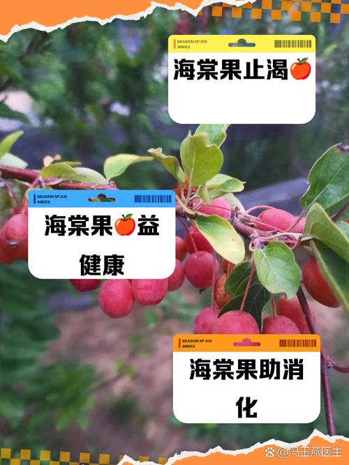 海棠果可以吃吗，海棠果什么时候成熟？海棠果在什么时候结果？-第4张图片-优品飞百科