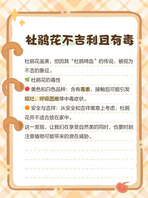 杜鹃花适合家里养吗,杜鹃花可以家里养吗?-第4张图片-优品飞百科 杜鹃花适合家里养吗,杜鹃花可以家里养吗?-第4张图片-优品飞百科