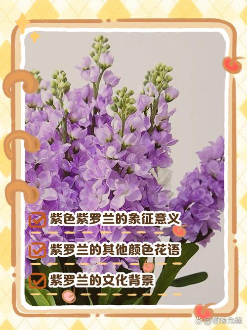 紫罗兰花语,紫罗兰图片,紫罗兰的真正的花语?-第4张图片-优品飞百科 紫罗兰花语,紫罗兰图片,紫罗兰的真正的花语?-第4张图片-优品飞百科