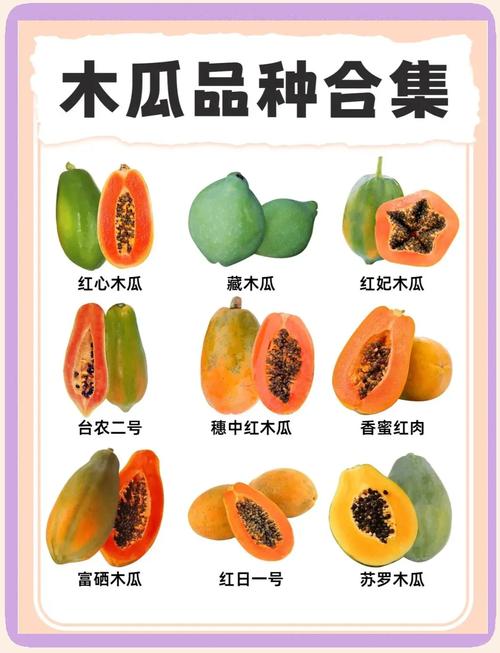 木瓜怎么挑，木瓜多少钱一斤，木瓜怎么挑选才好吃？-第2张图片-优品飞百科