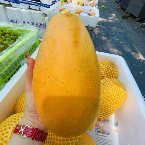 木瓜怎么挑，木瓜多少钱一斤，木瓜怎么挑选才好吃？-第6张图片-优品飞百科