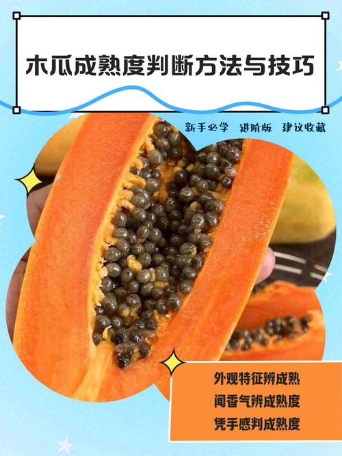 木瓜怎么挑，木瓜多少钱一斤，木瓜怎么挑选才好吃？-第7张图片-优品飞百科