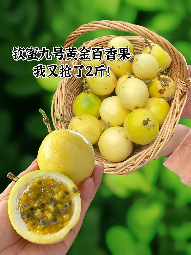 一天吃几个百香果比较好（功效和禁忌），每天吃多少个百香果合适?-第2张图片-优品飞百科