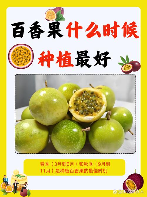 一天吃几个百香果比较好（功效和禁忌），每天吃多少个百香果合适?-第6张图片-优品飞百科