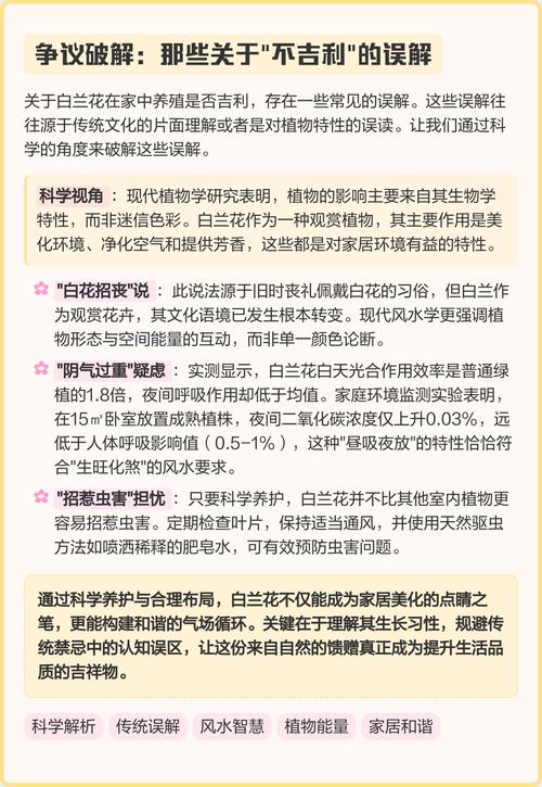白兰花有什么作用，白兰花有什么作用及功效与作用？-第1张图片-优品飞百科