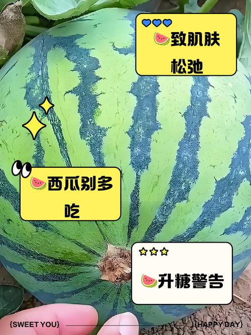 西瓜含糖量高吗，西瓜吃多了会怎么样，西瓜含糖量高吗,西瓜吃多了会怎么样呢-第1张图片-优品飞百科