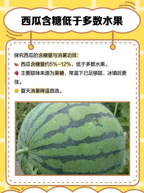西瓜含糖量高吗，西瓜吃多了会怎么样，西瓜含糖量高吗,西瓜吃多了会怎么样呢-第4张图片-优品飞百科