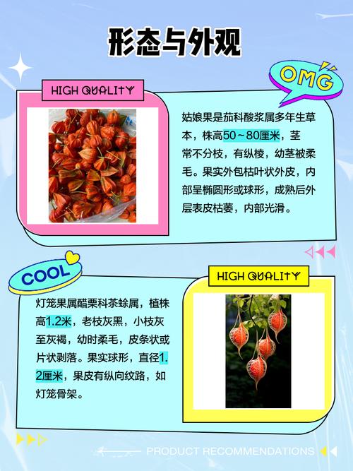 灯笼果和姑娘果的区别，灯笼果和姑娘果的区别有红色吗？-第1张图片-优品飞百科