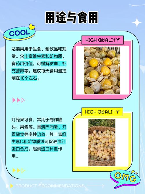 灯笼果和姑娘果的区别，灯笼果和姑娘果的区别有红色吗？-第3张图片-优品飞百科