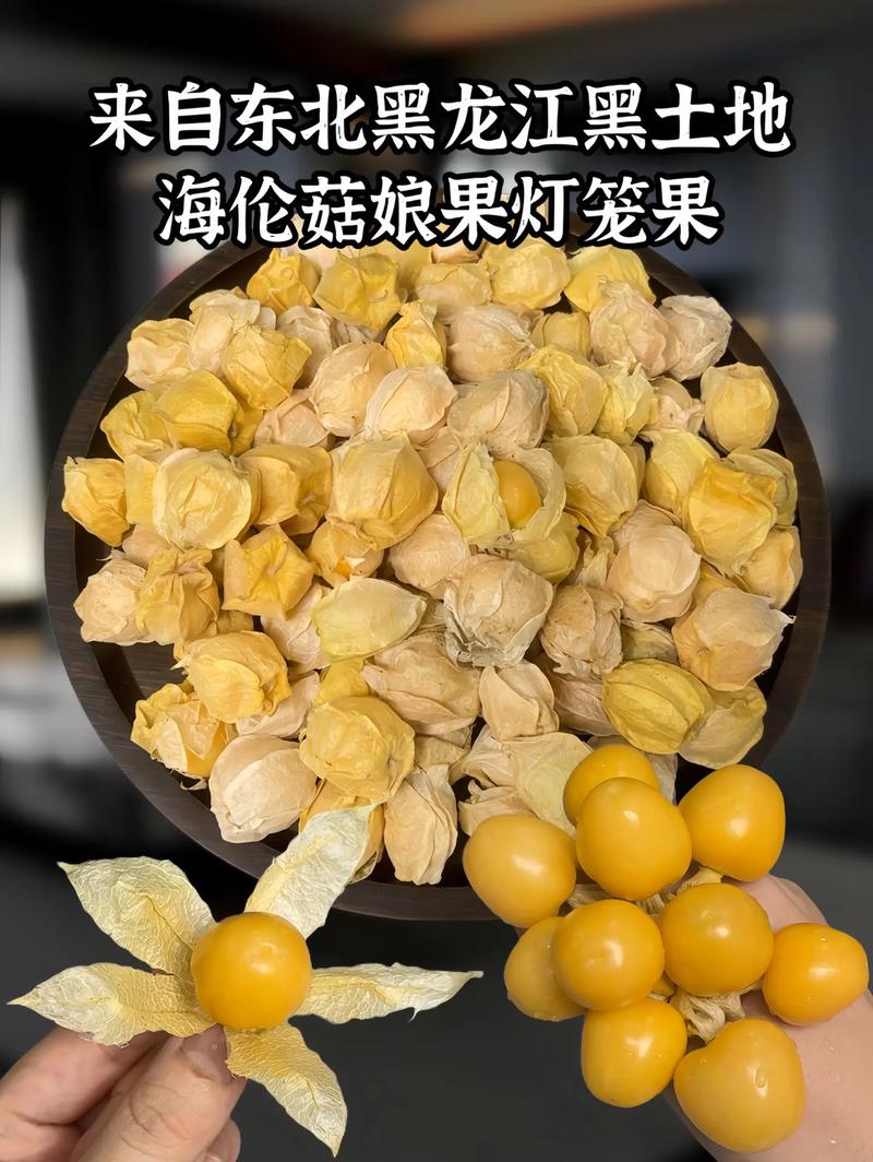 灯笼果和姑娘果的区别，灯笼果和姑娘果的区别有红色吗？-第4张图片-优品飞百科