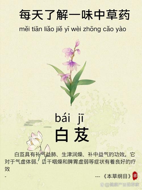 白芨的功效和作用，白芨的功效和作用是什么？-第4张图片-优品飞百科