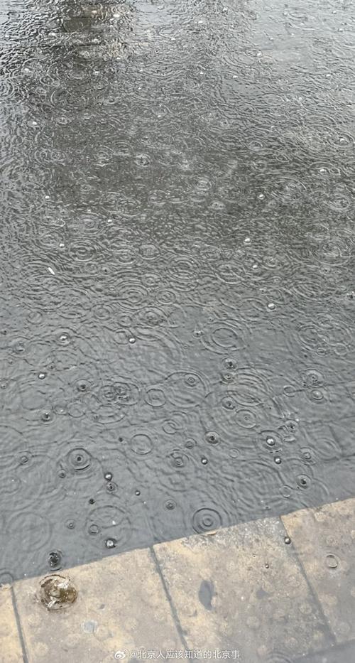 北京海淀天气预警24小时?北京海淀区天气24小时天气预报?-第5张图片-优品飞百科 北京海淀天气预警24小时?北京海淀区天气24小时天气预报?-第5张图片-优品飞百科