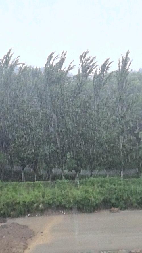 北京海淀天气预警24小时?北京海淀区天气24小时天气预报?-第7张图片-优品飞百科 北京海淀天气预警24小时?北京海淀区天气24小时天气预报?-第7张图片-优品飞百科