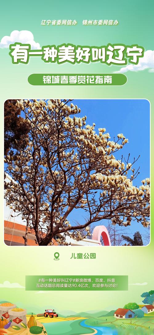 白银适合养什么花，市花和市树是什么，白银树可以种庭院吗-第5张图片-优品飞百科