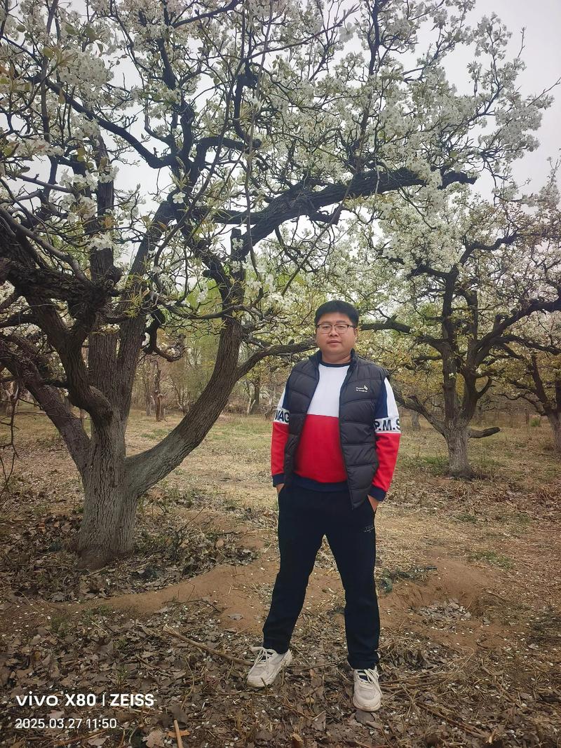 梨树天气预报一周，梨树天气预报30天查询？-第5张图片-优品飞百科