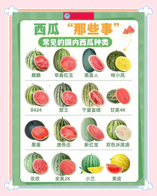 西瓜不能和什么一起吃，西瓜不能和什么一起吃食物相克？-第3张图片-优品飞百科
