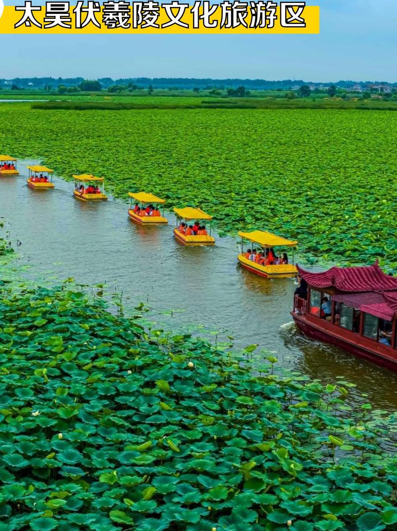 河南太康县天气预报，河南太康县天气预报天气？-第2张图片-优品飞百科