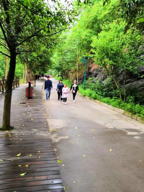 河南太康县天气预报，河南太康县天气预报天气？-第4张图片-优品飞百科