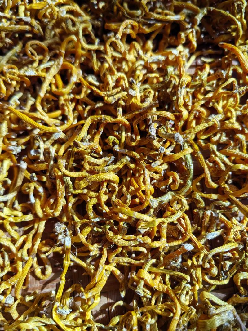 金钗石斛怎么吃，金钗石斛怎么吃法？-第3张图片-优品飞百科