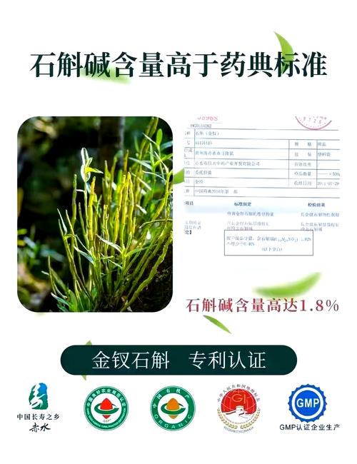 金钗石斛怎么吃，金钗石斛怎么吃法？-第7张图片-优品飞百科