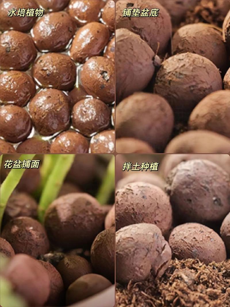 陶粒是什么材料做的，适合养什么花，陶粒栽花的陶粒是用什么做的-第1张图片-优品飞百科