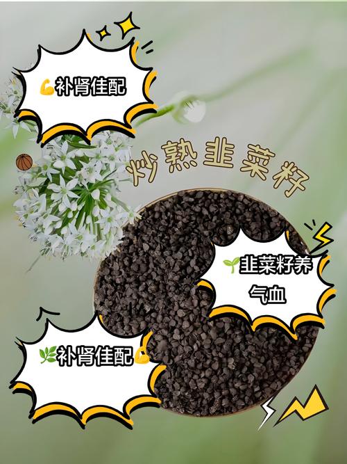 韭菜的功效与作用，韭菜籽的功效与作用？韭菜籽的功效与用法？-第3张图片-优品飞百科