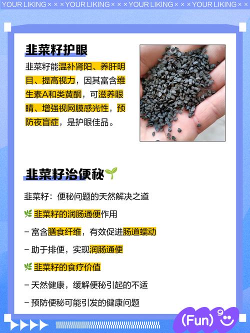 韭菜的功效与作用，韭菜籽的功效与作用？韭菜籽的功效与用法？-第4张图片-优品飞百科