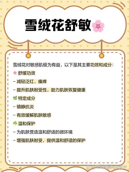 雪绒花是什么花，有什么功效，雪绒花是什么花?？-第3张图片-优品飞百科