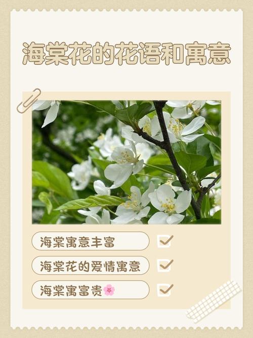 海棠花的花语是什么，海棠花的花语是什么简短？