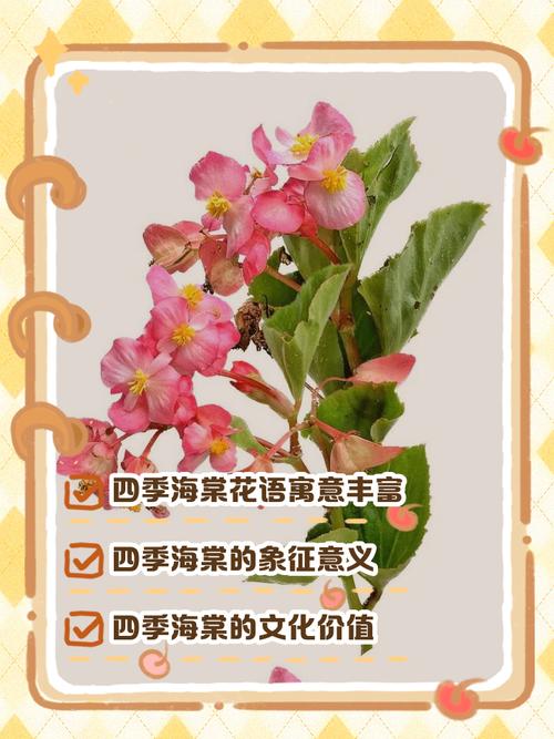 海棠花的花语是什么，海棠花的花语是什么简短？-第2张图片-优品飞百科