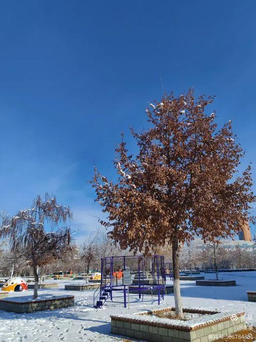 昌吉天气预报？昌吉天气预报15天天气？-第1张图片-优品飞百科