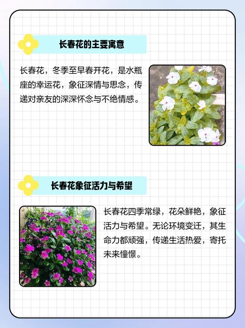 佳木斯适合养什么花,市花和市树是什么,佳木斯绿化树有哪些-第4张图片-优品飞百科 佳木斯适合养什么花,市花和市树是什么,佳木斯绿化树有哪些-第4张图片-优品飞百科