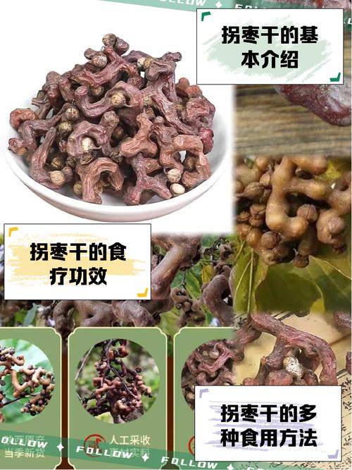 拐枣的功效与作用,拐枣的功效与作用害处?-第1张图片-优品飞百科 拐枣的功效与作用,拐枣的功效与作用害处?-第1张图片-优品飞百科