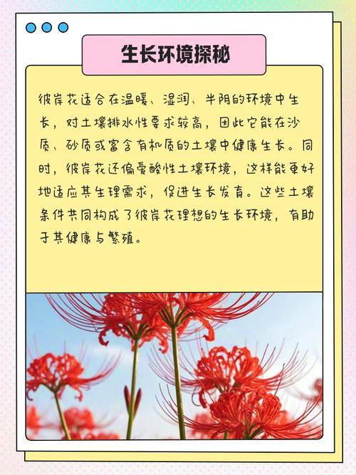彼岸花有毒吗，彼岸花有几种颜色？-第1张图片-优品飞百科