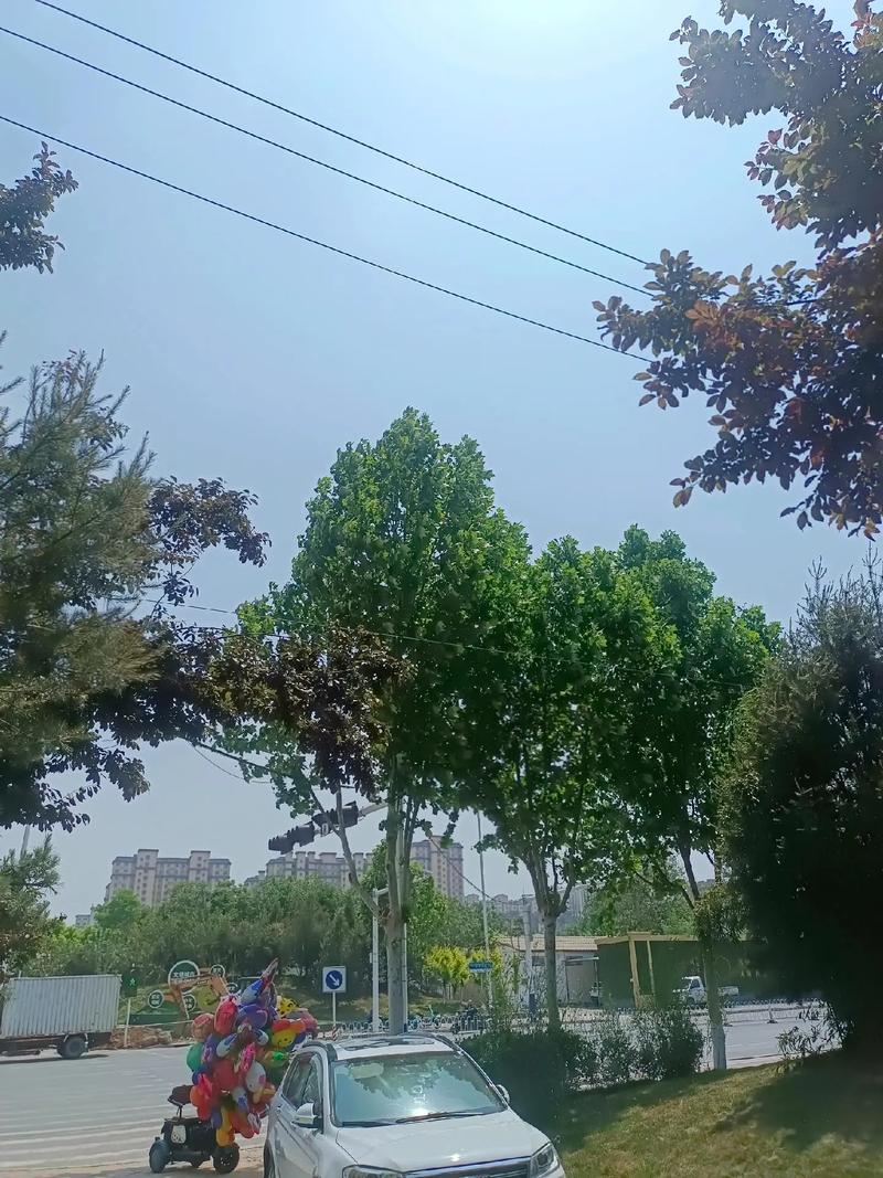 河北魏县天气预报，河北魏县天气预报一周7天详情-第6张图片-优品飞百科