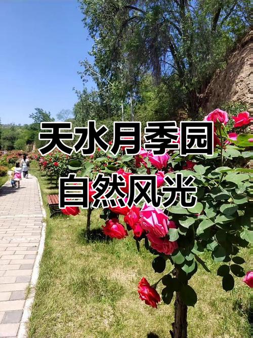 天水适合养什么花，市花和市树是什么，天水适合养什么花,市花和市树是什么花-第3张图片-优品飞百科